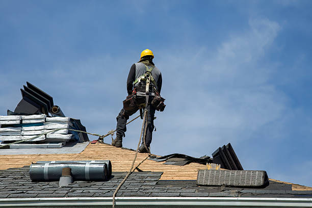 Professional Roofing technician working in Lapeer, MI